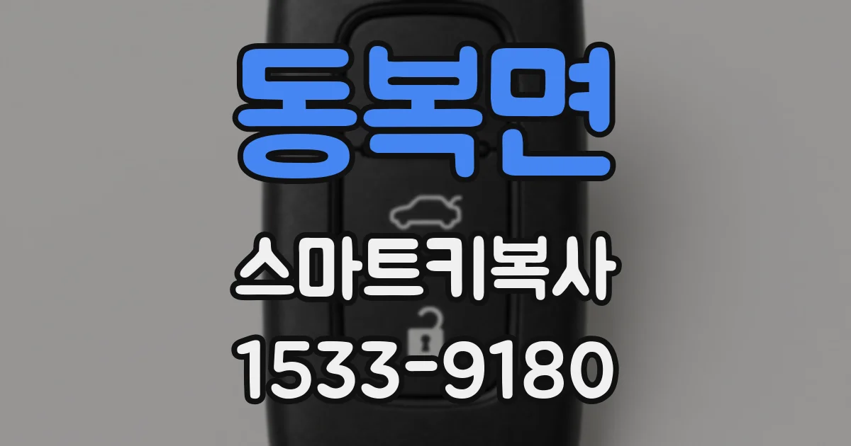 동복면 스마트키복사