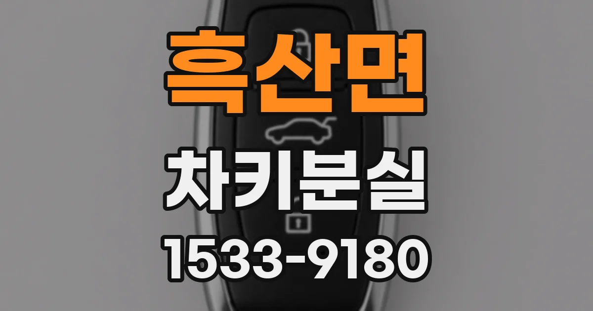 흑산면 차키분실