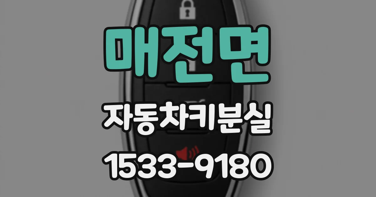 매전면 자동차키분실