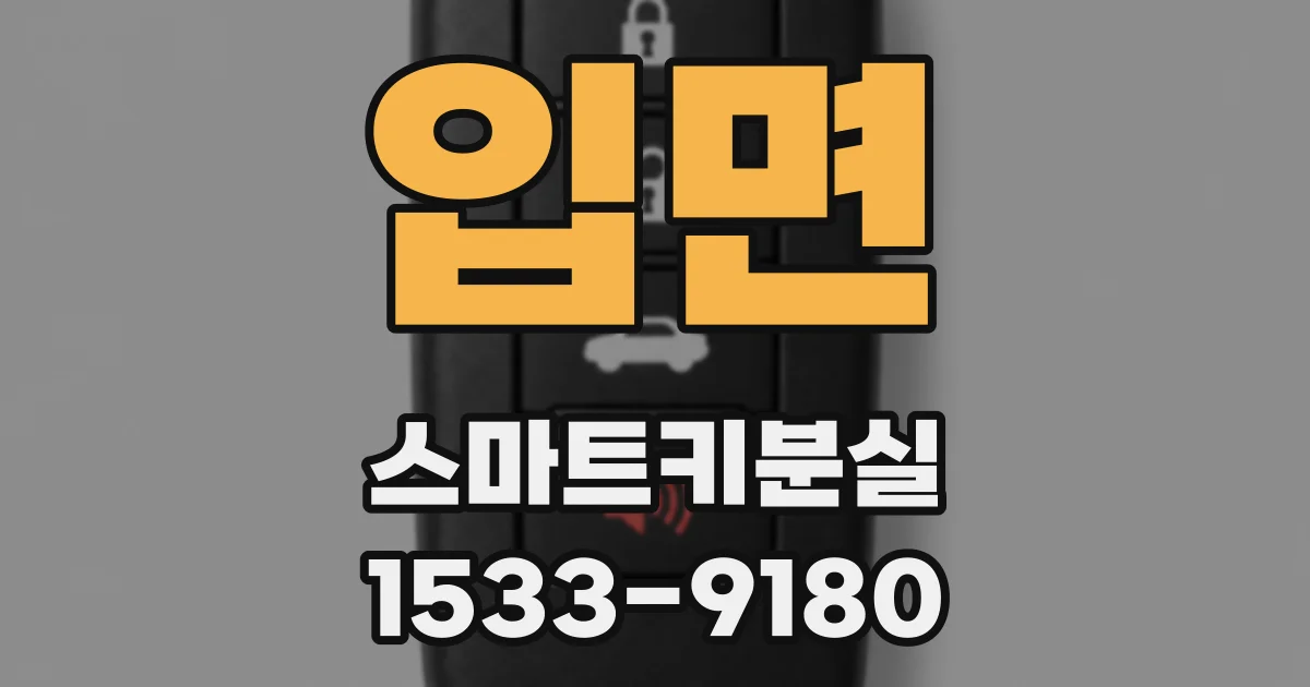 입면 스마트키분실