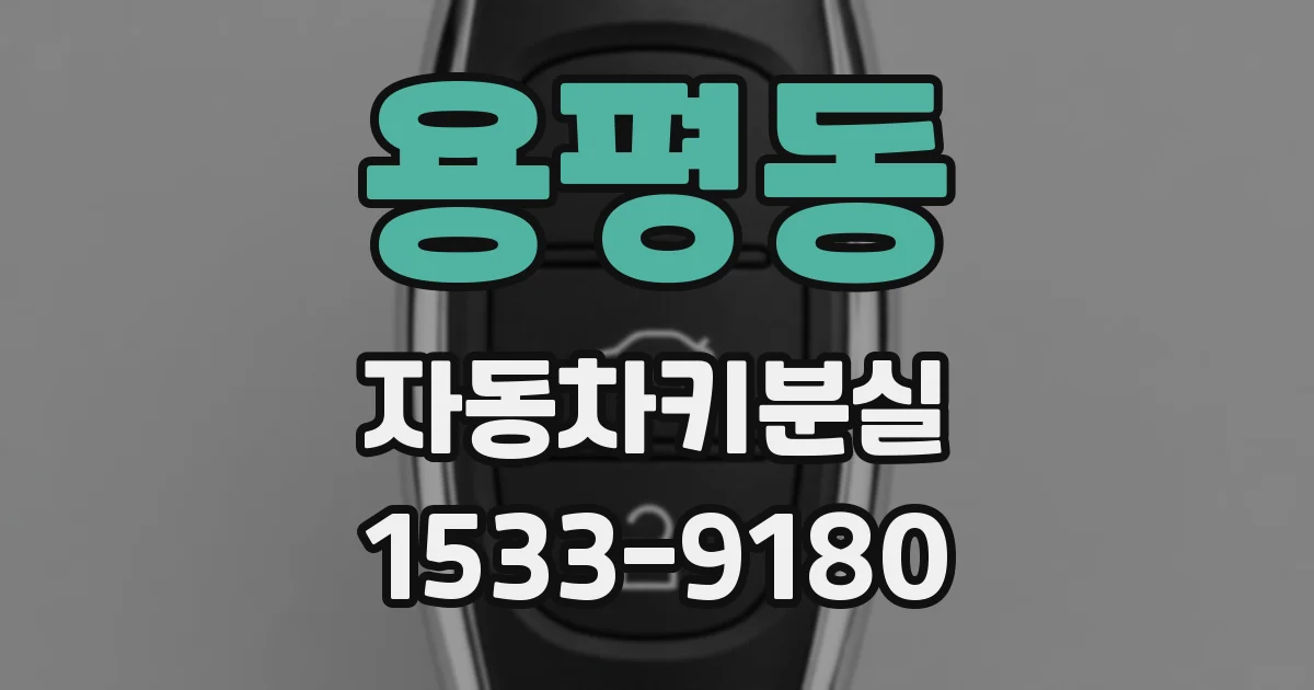 용평동 자동차키분실