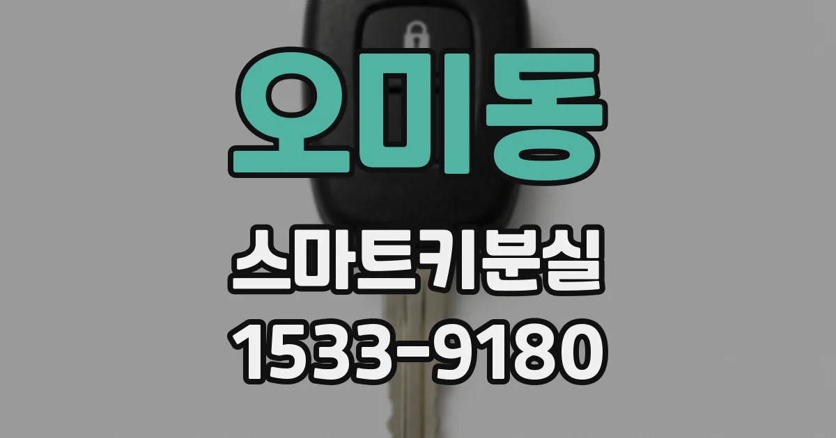 오미동 스마트키분실