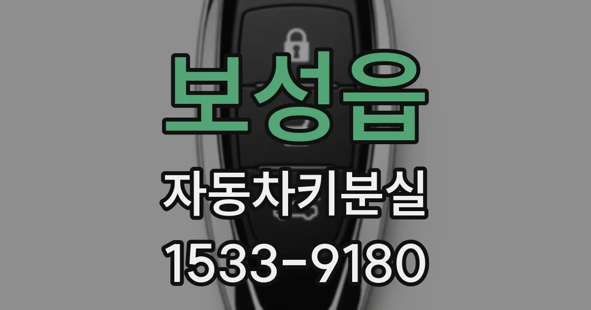 보성읍 자동차키분실