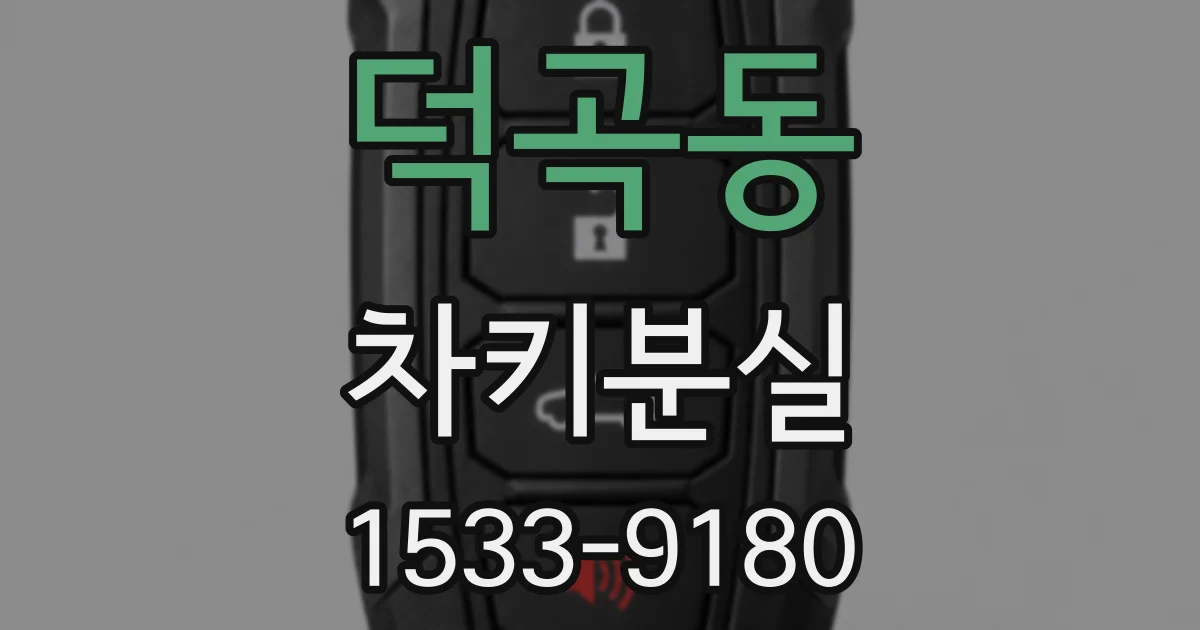 덕곡동 차키분실