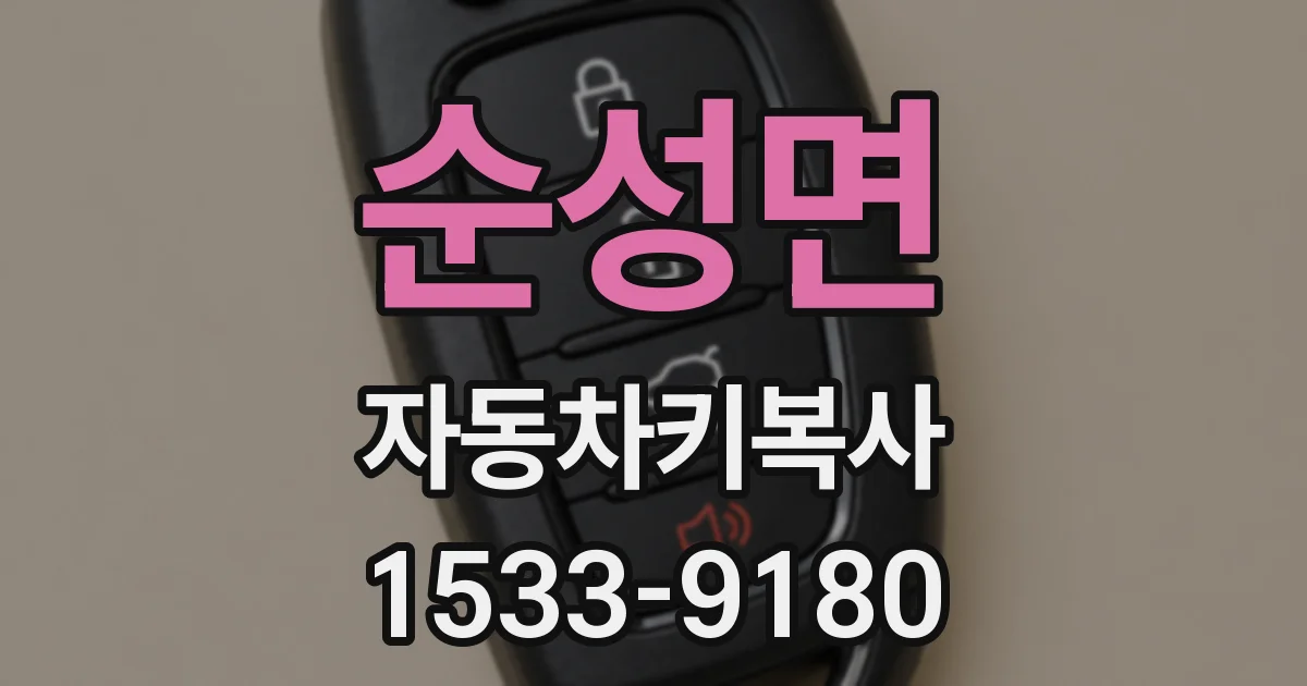 순성면 자동차키복사