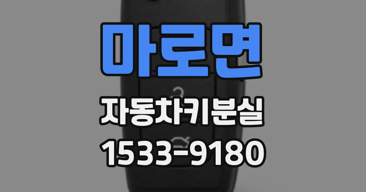 마로면 자동차키분실