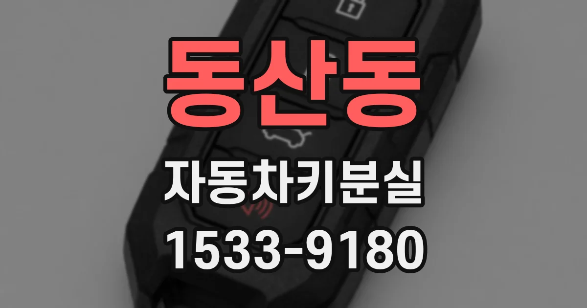 동산동 자동차키분실