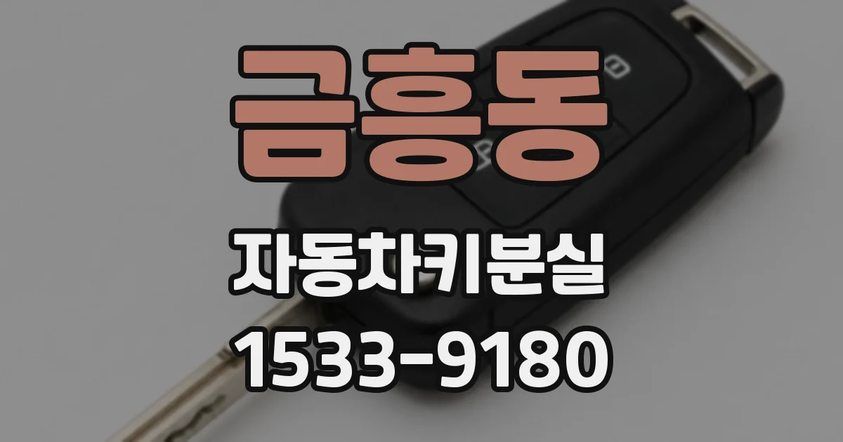 금흥동 자동차키분실