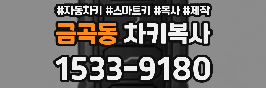 금곡동 차키복사