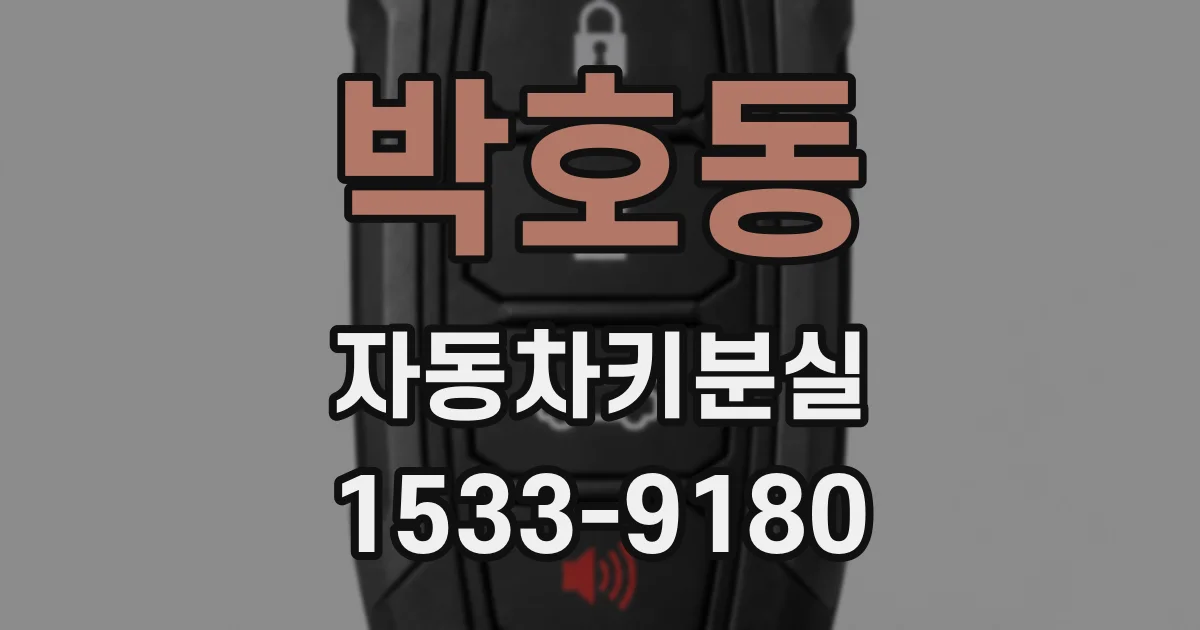박호동 자동차키분실