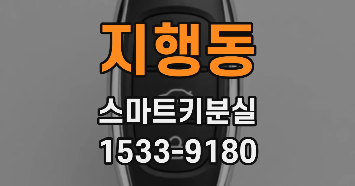지행동 스마트키분실