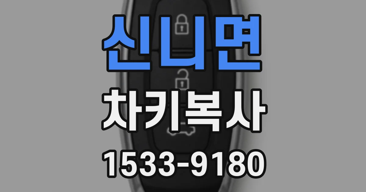 신니면 차키복사