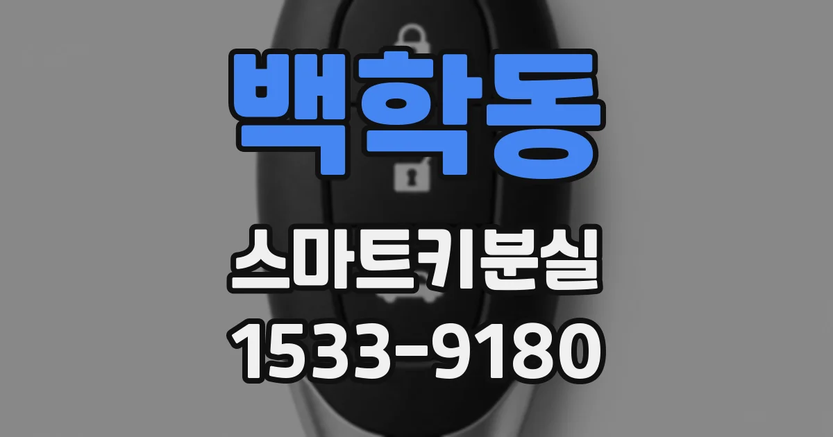 백학동 스마트키분실