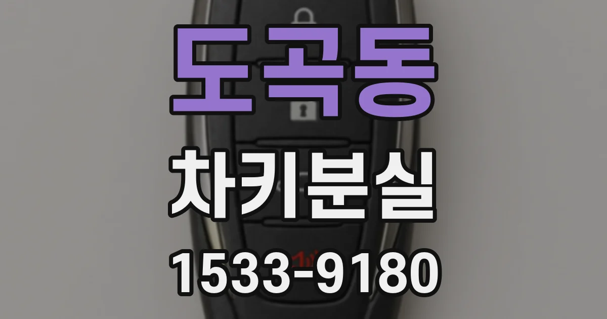 도곡동 차키분실
