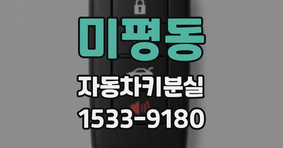 미평동 자동차키분실