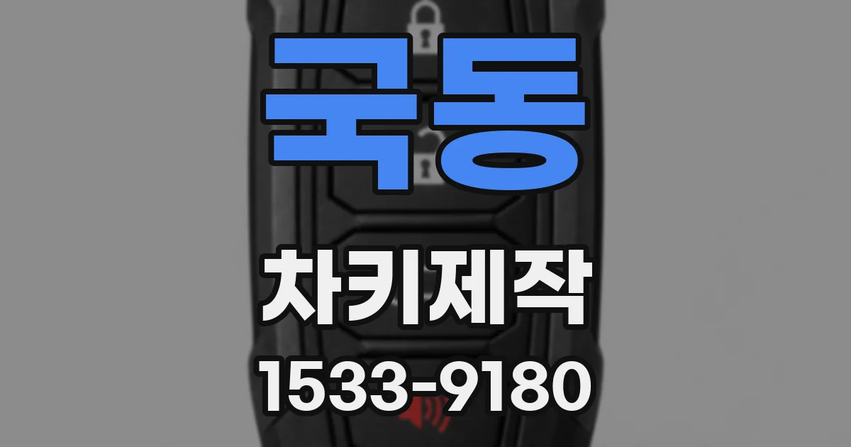 국동 차키제작