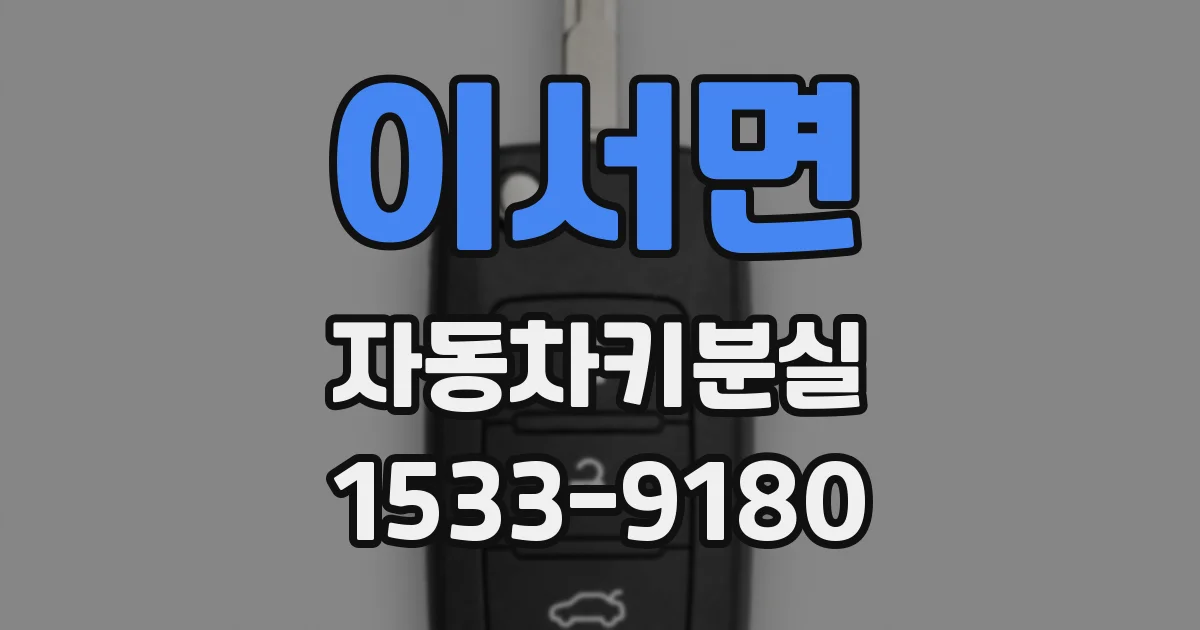이서면 자동차키분실