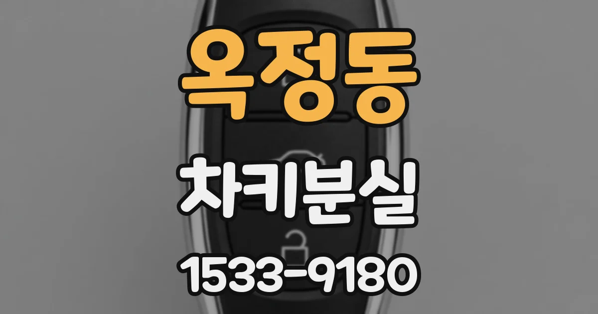 옥정동 차키분실