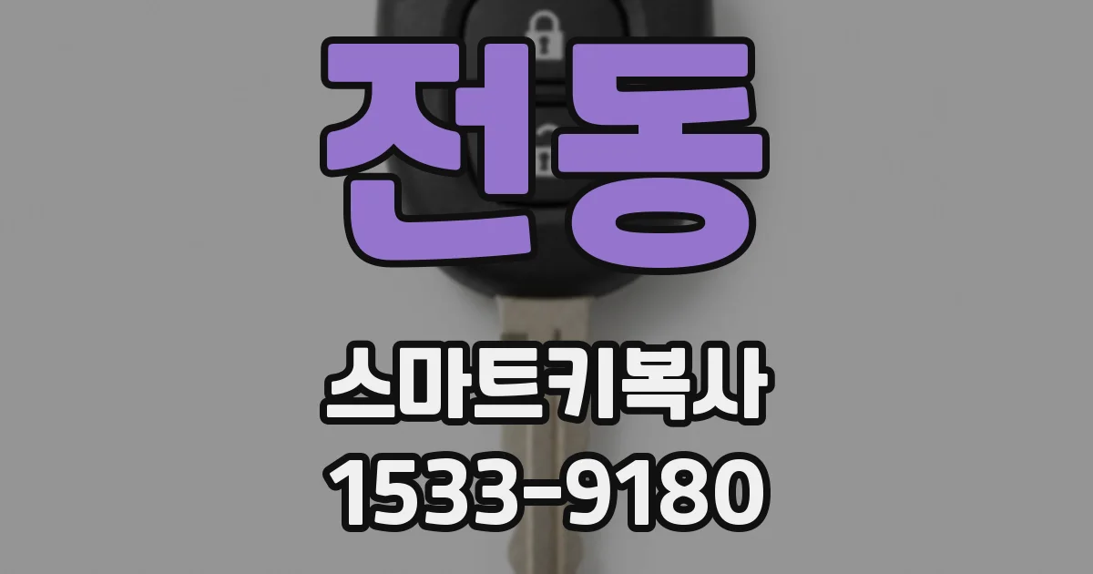 전동 스마트키복사