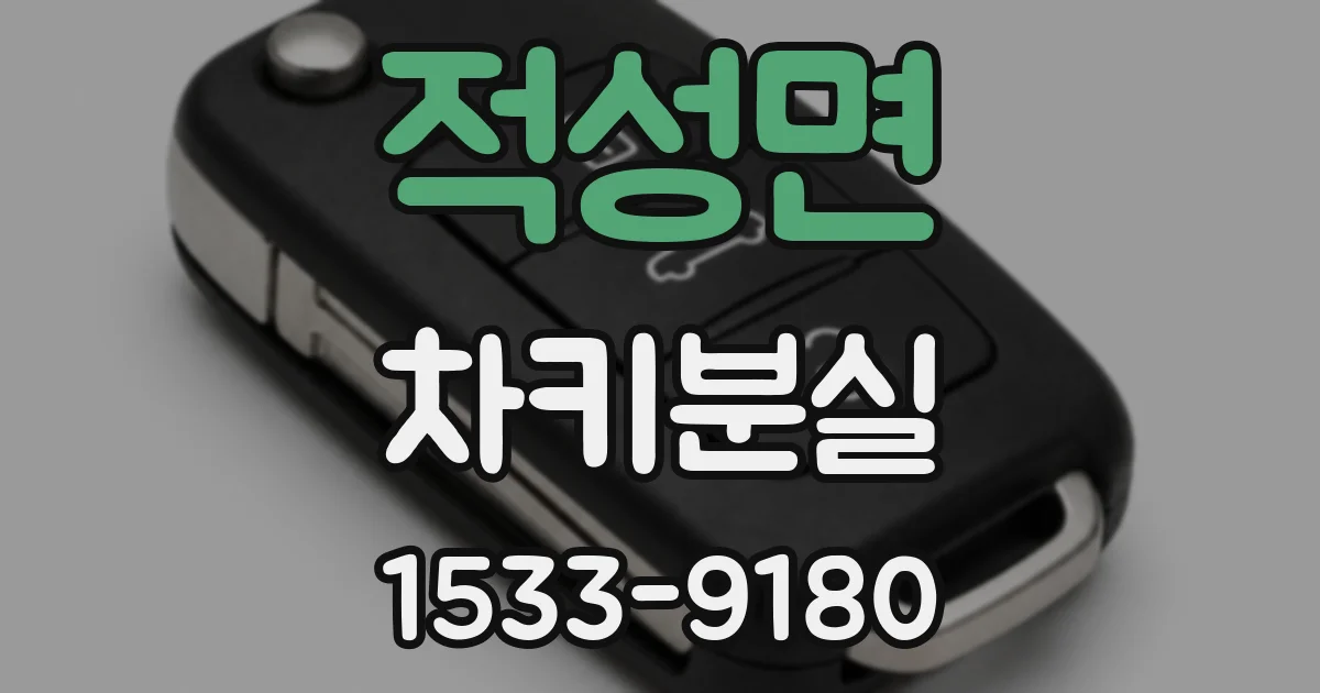 적성면 차키분실