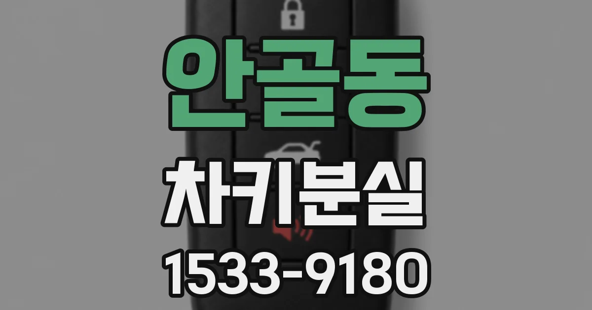 안골동 차키분실