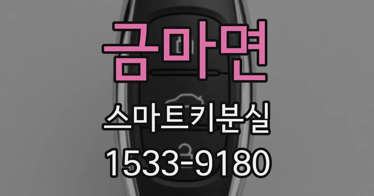 금마면 스마트키분실