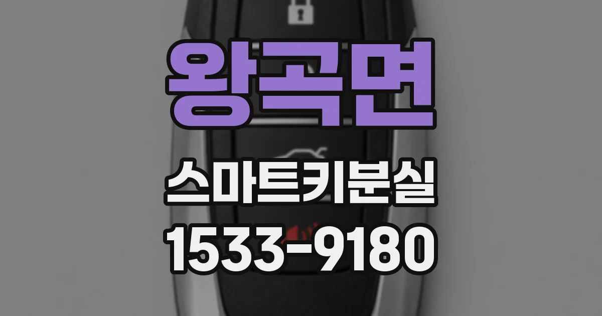 왕곡면 스마트키분실