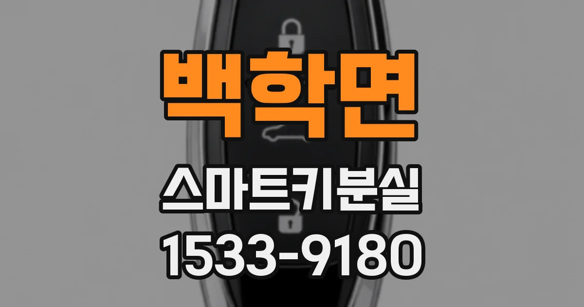 백학면 스마트키분실