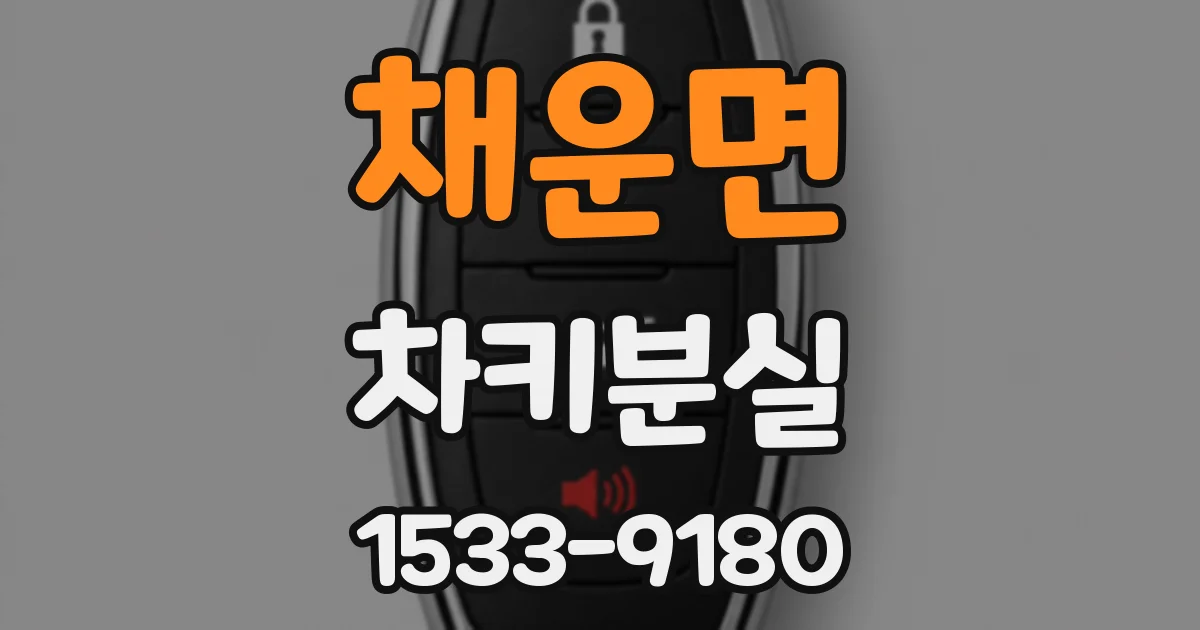 채운면 차키분실