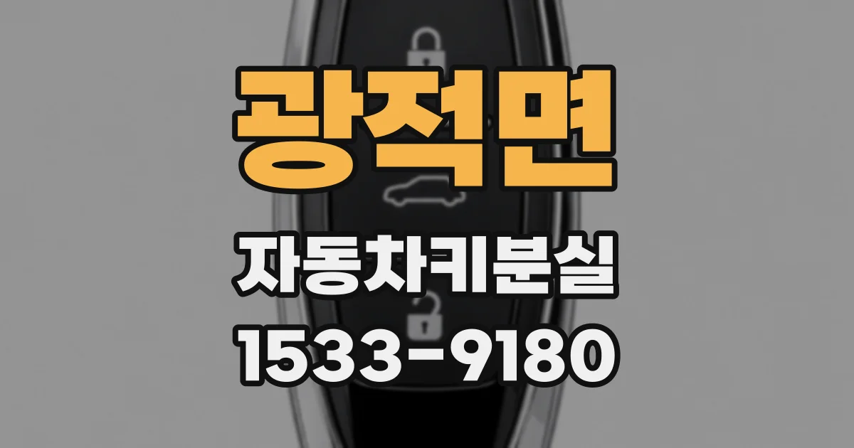 광적면 자동차키분실