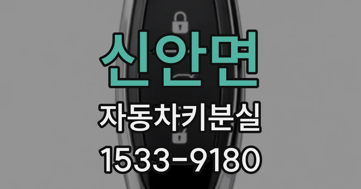 신안면 자동차키분실