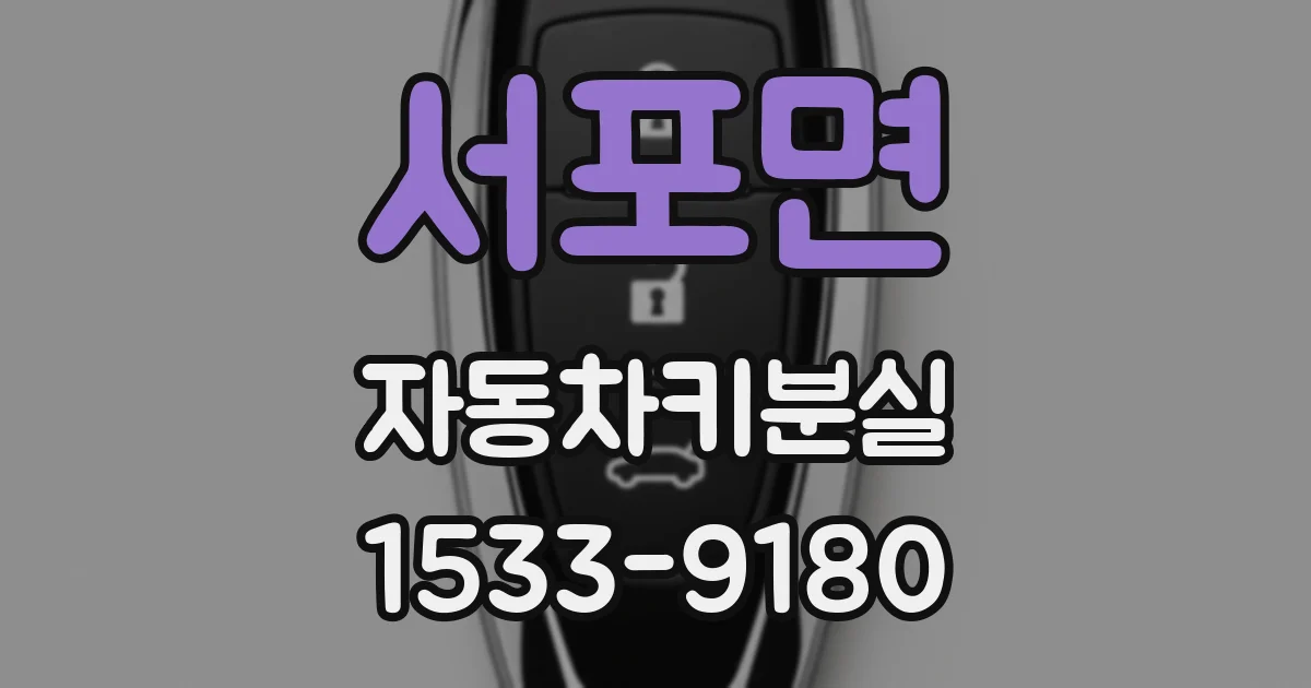 서포면 자동차키분실
