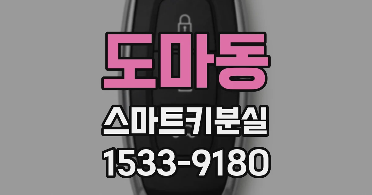 도마동 스마트키분실