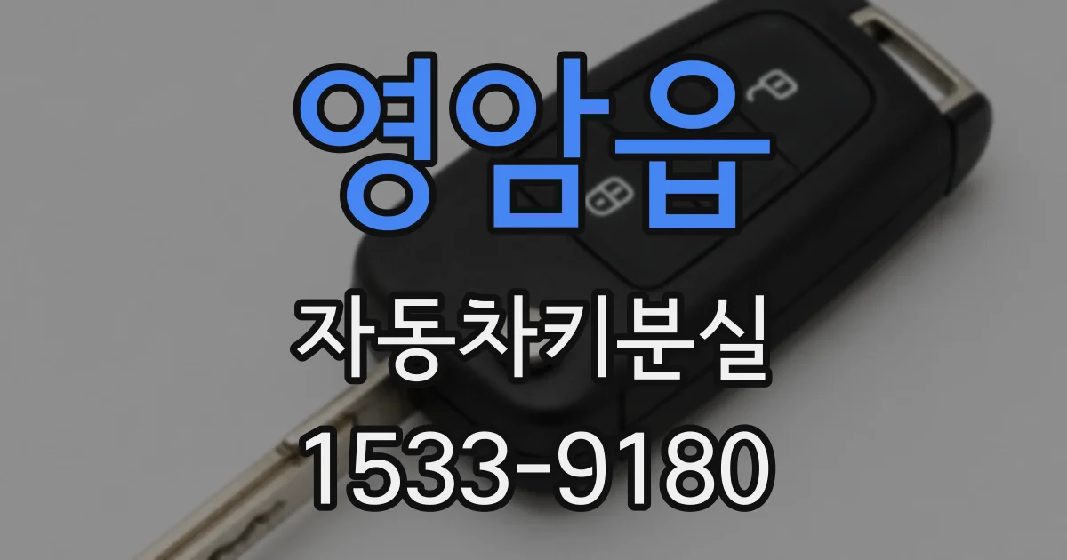 영암읍 자동차키분실