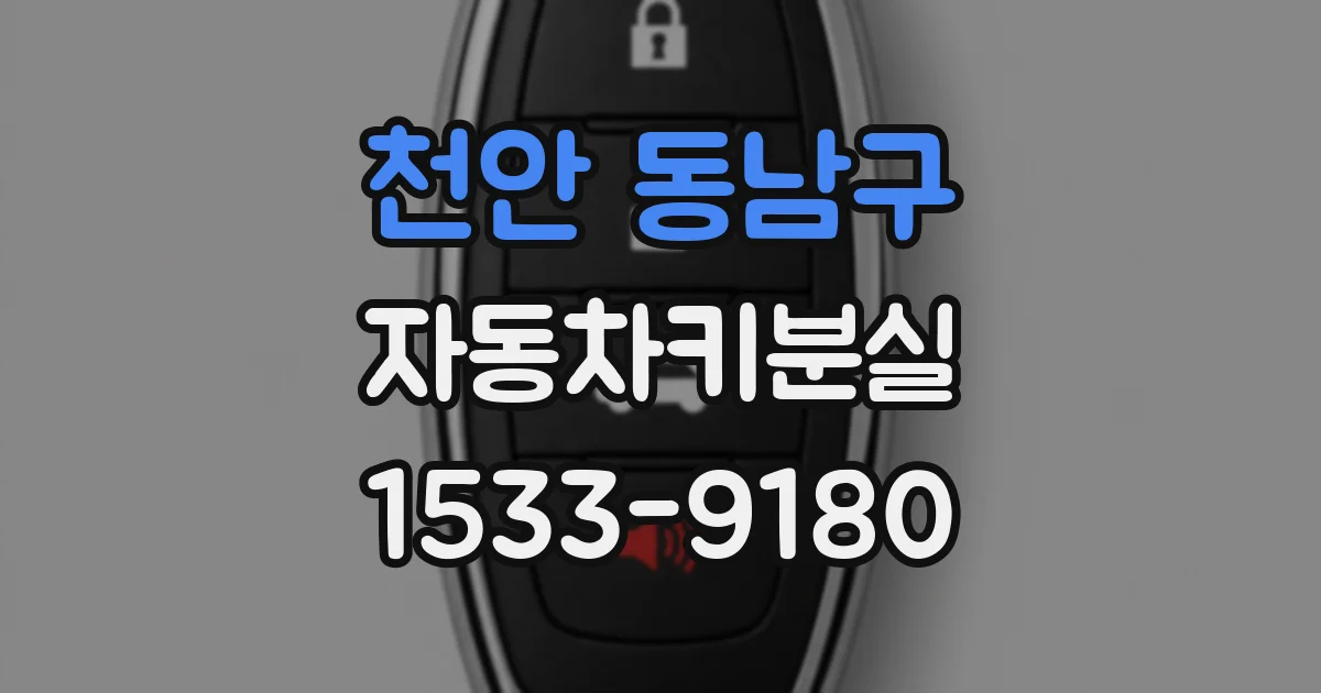 천안 동남구 자동차키분실