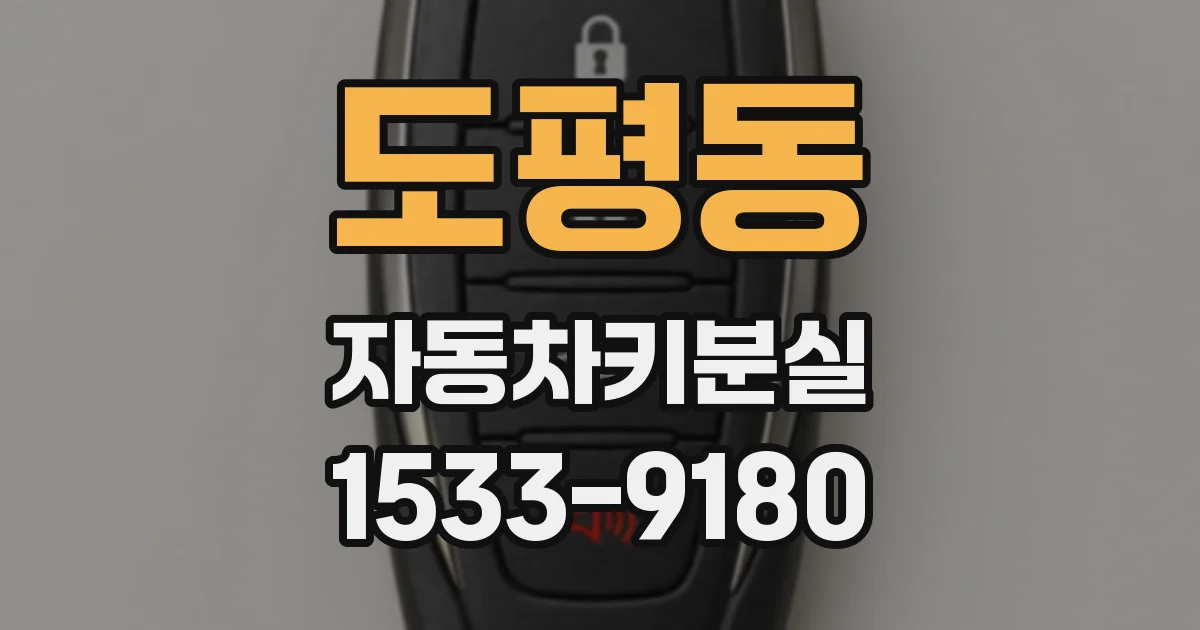 도평동 자동차키분실