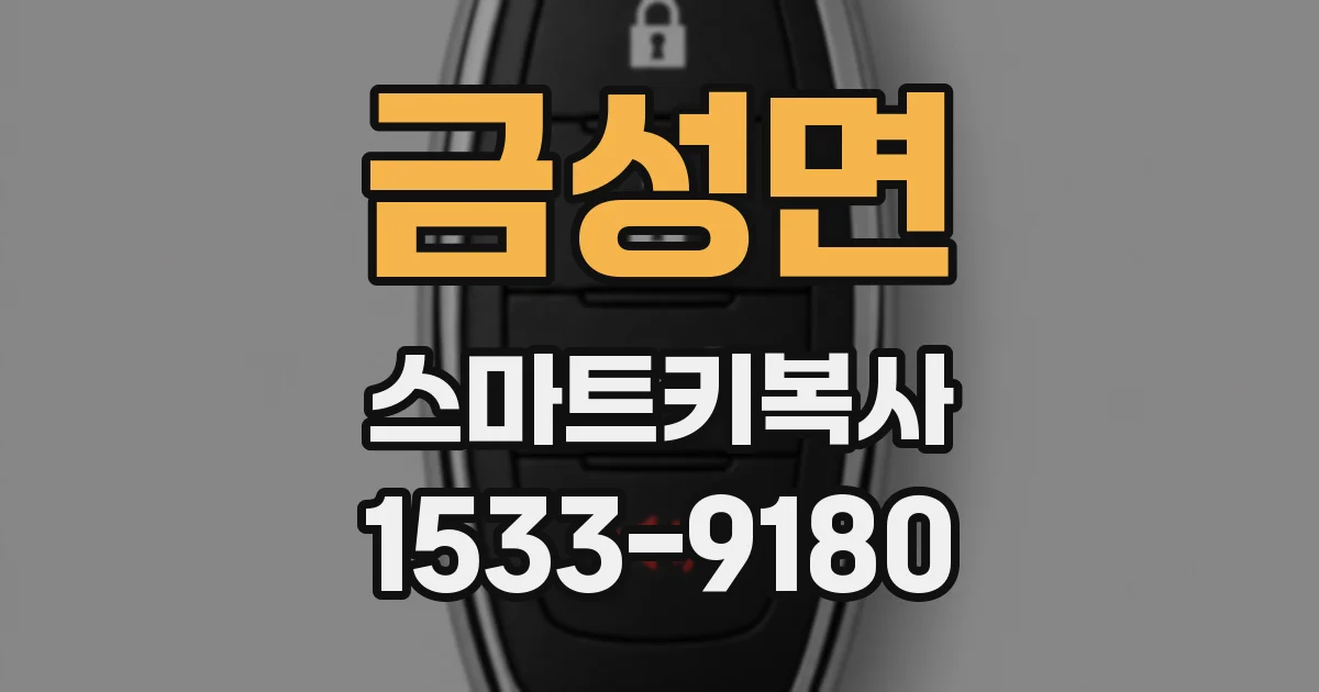 금성면 스마트키복사