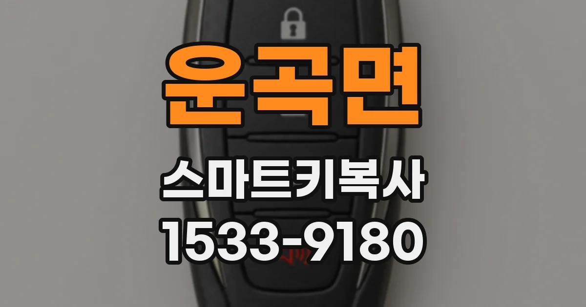 운곡면 스마트키복사