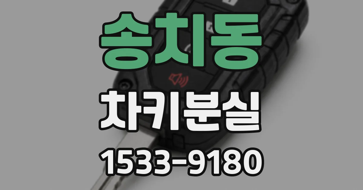 송치동 차키분실