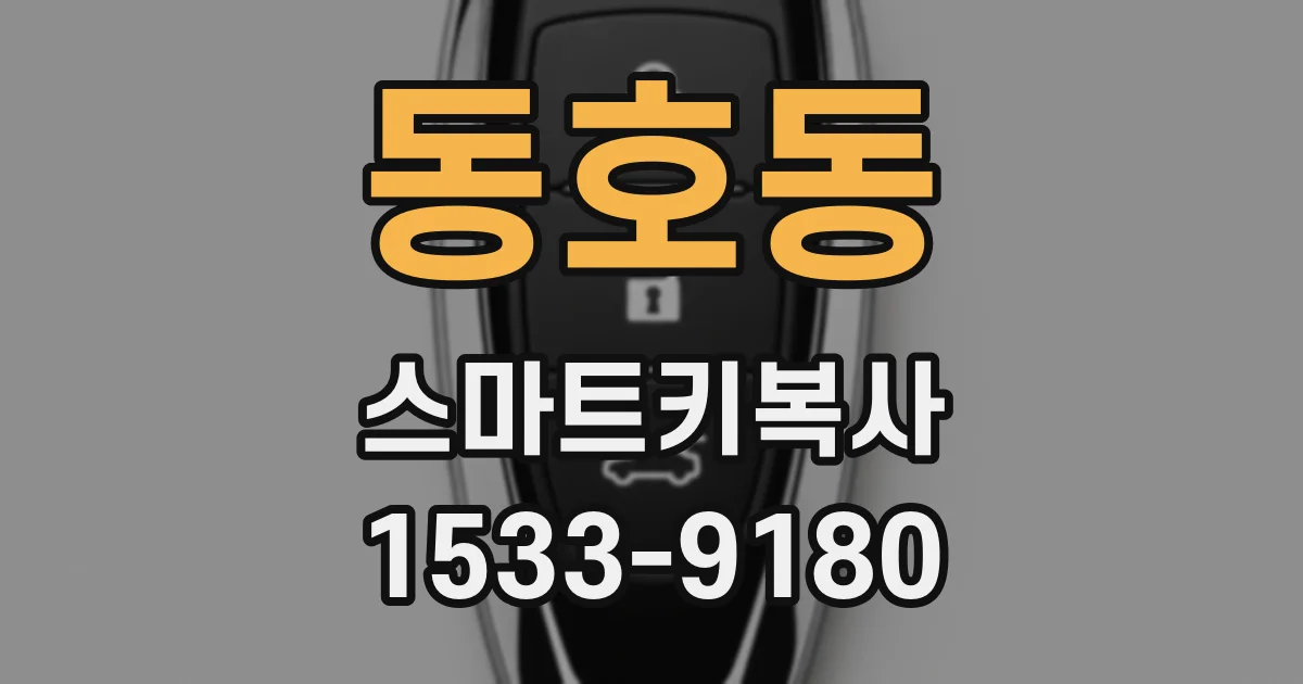 동호동 스마트키복사