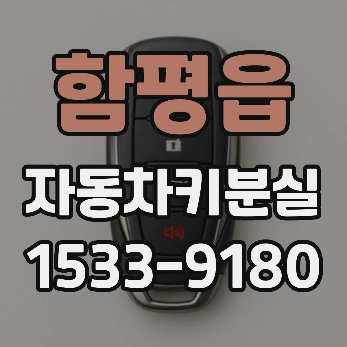 함평읍 자동차키분실