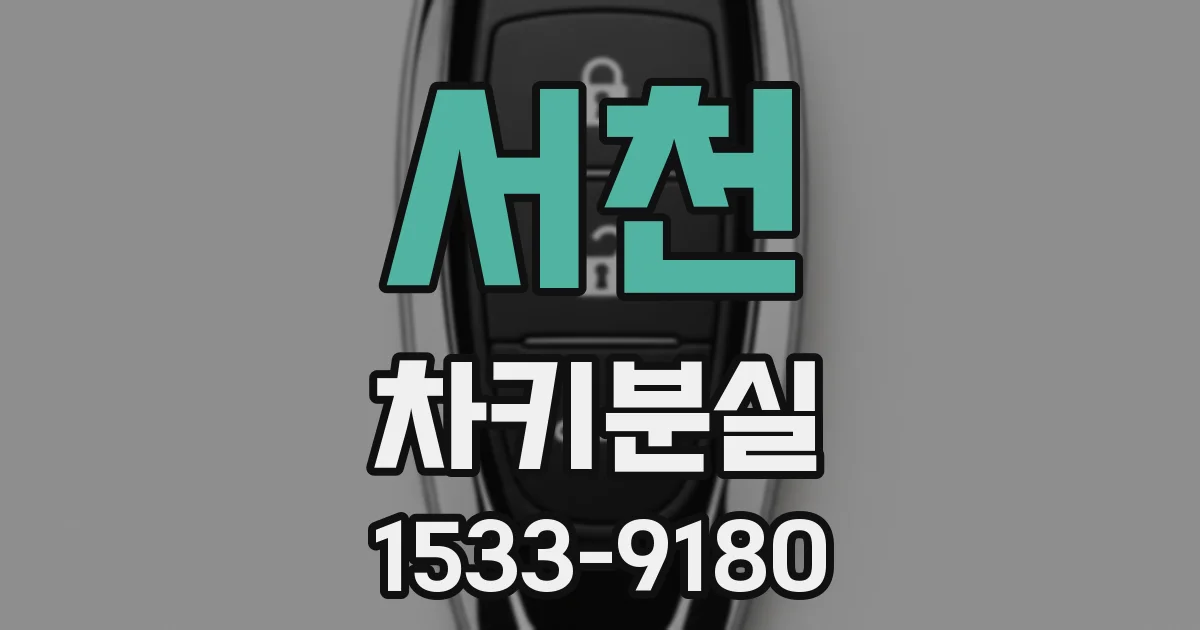 서천 차키분실