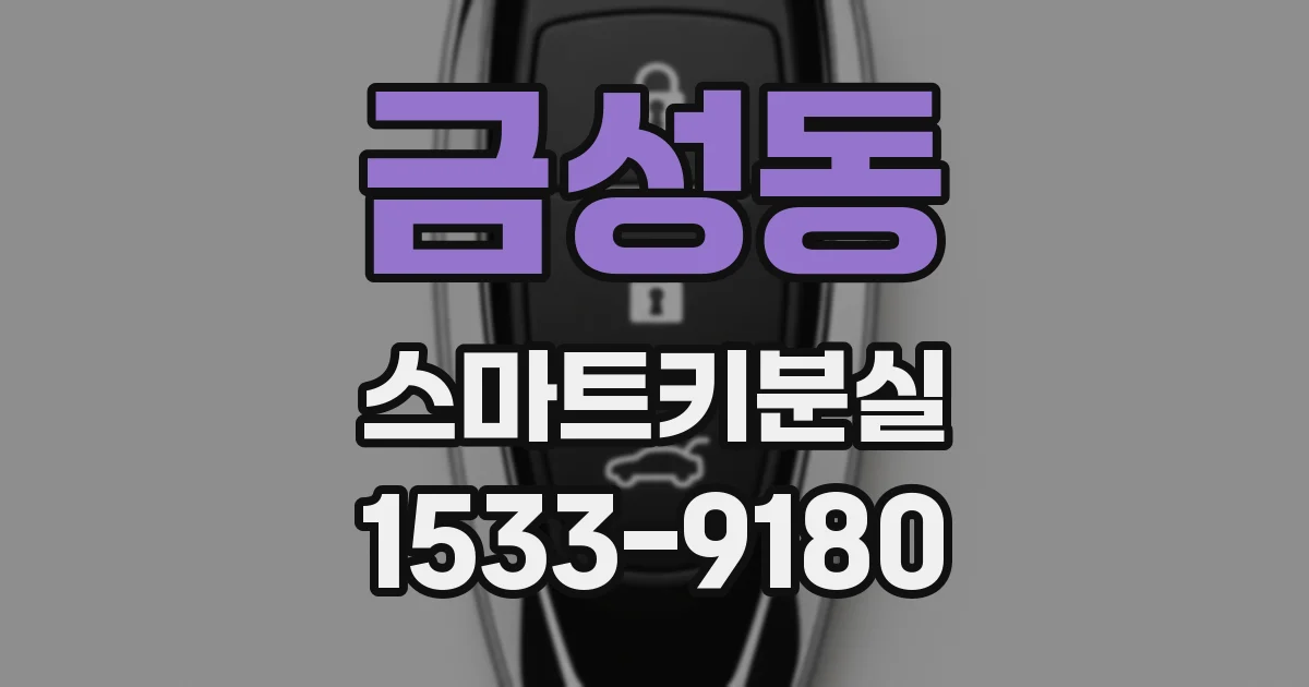 금성동 스마트키분실