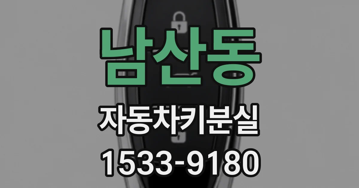 남산동 자동차키분실