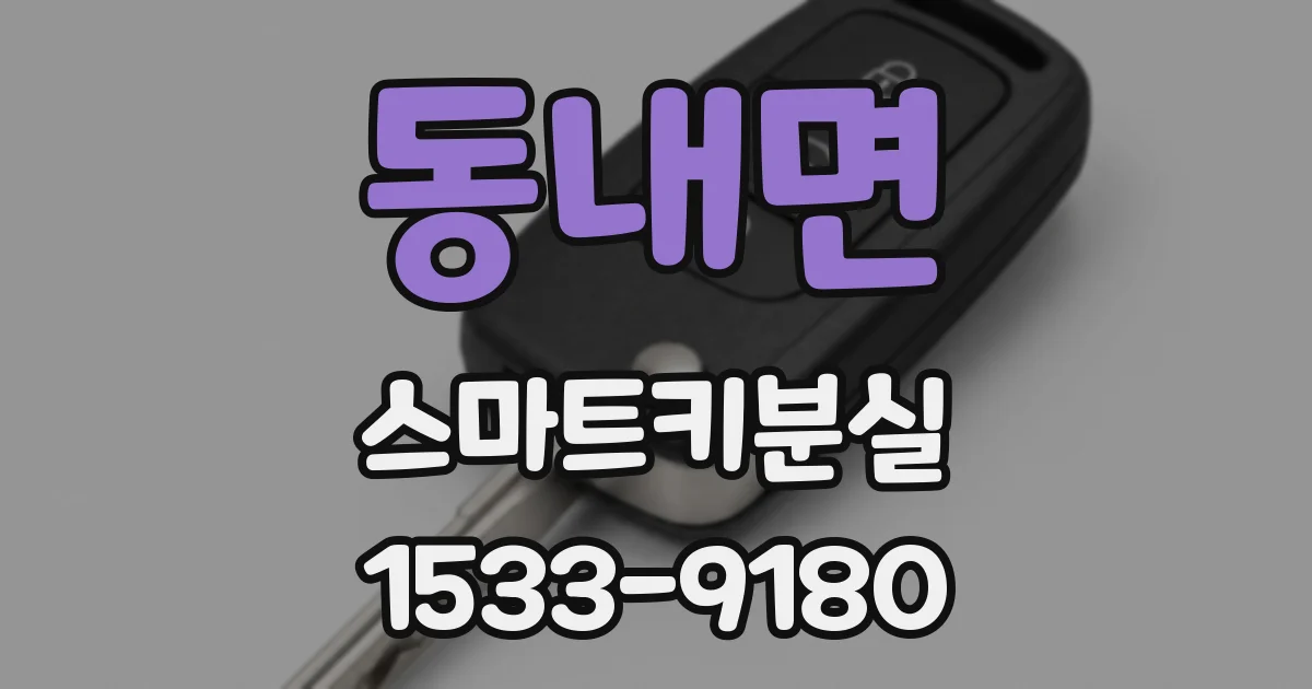 동내면 스마트키분실