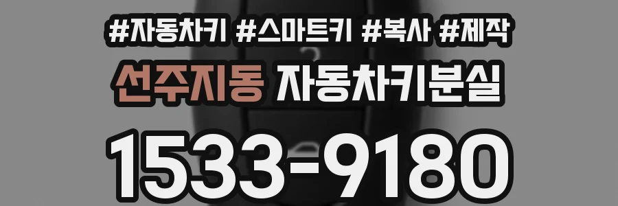 선주지동 자동차키분실
