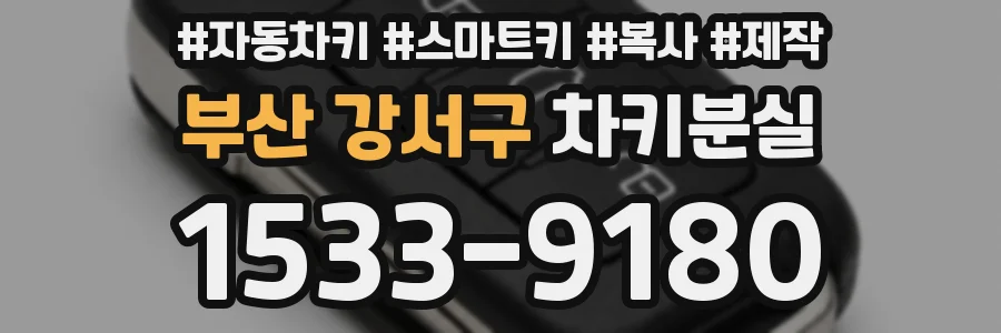 부산 강서구 차키분실