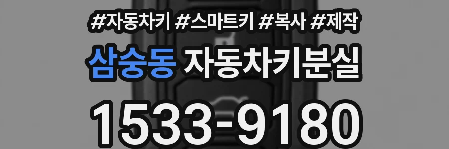 삼숭동 자동차키분실