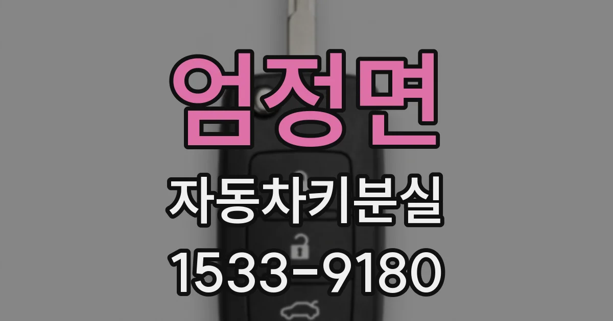 엄정면 자동차키분실