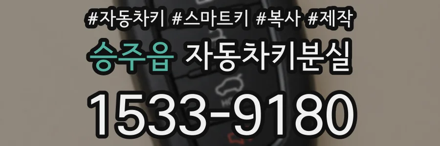 승주읍 자동차키분실